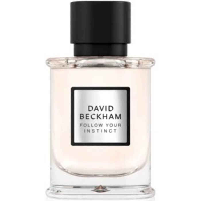 David Beckham Follow Your Instinct - Eau de Parfum - LuxScents.nl