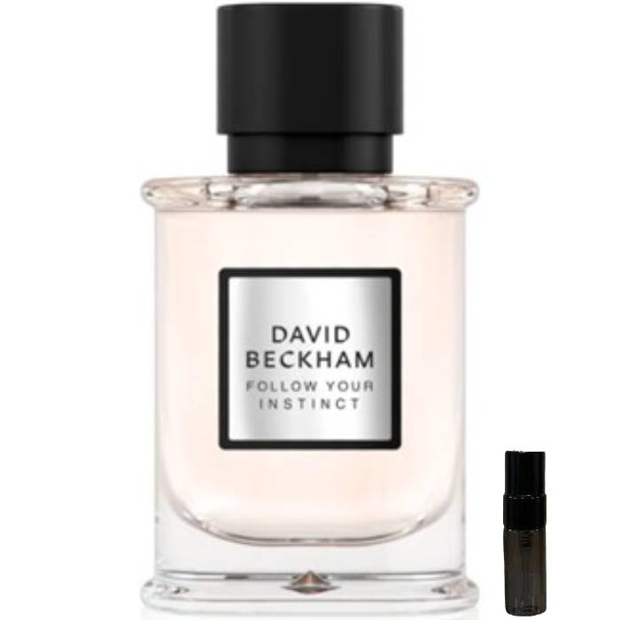 David Beckham Follow Your Instinct - Eau de Parfum - LuxScents.nl
