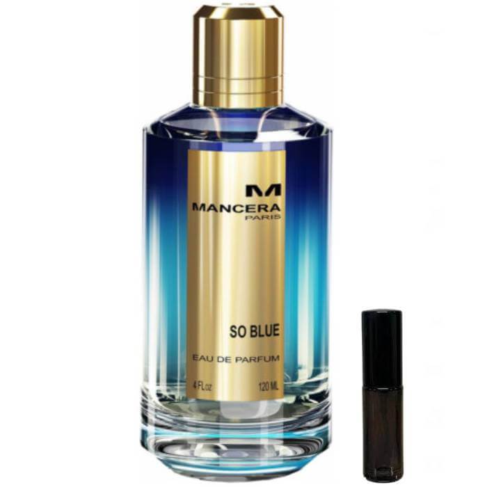 Mancera So Blue - Eau de Parfum - LuxScents.nl