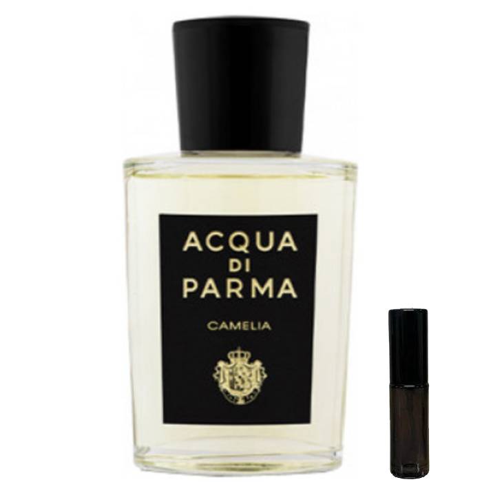 Acqua di Parma Camelia - Eau de Parfum - LuxScents.nl