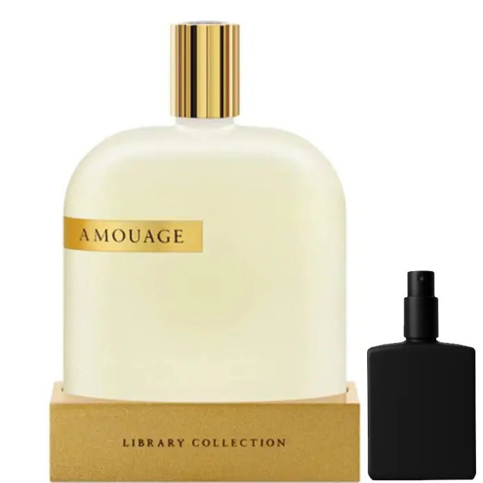 Amouage The Library Collection Opus VI - Eau de Parfum - LuxScents.nl
