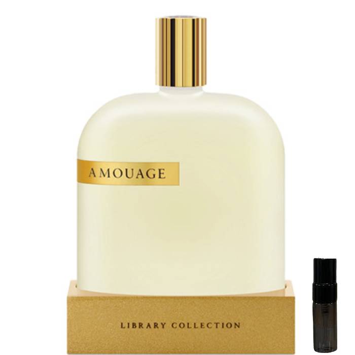 Amouage The Library Collection Opus VI - Eau de Parfum - LuxScents.nl