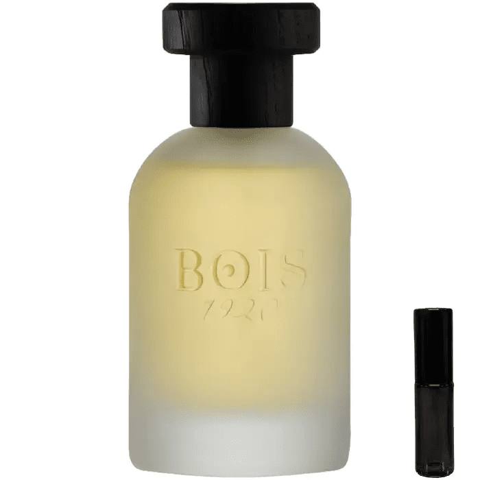 Bois 1920 Real Patchouly - Eau de Parfum - LuxScents