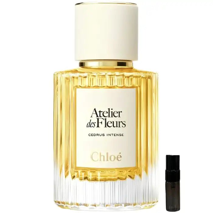 Chloe Cedrus Intense - Eau de Parfum - LuxScents.nl