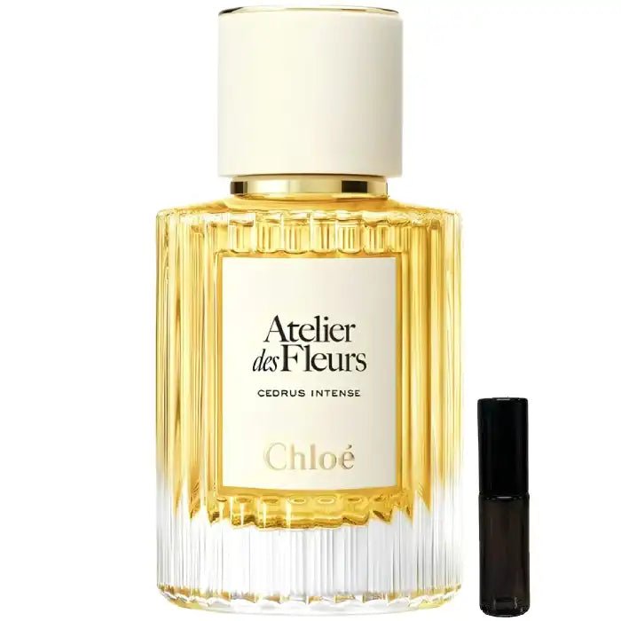 Chloe Cedrus Intense - Eau de Parfum - LuxScents.nl
