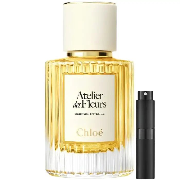 Chloe Cedrus Intense - Eau de Parfum - LuxScents.nl
