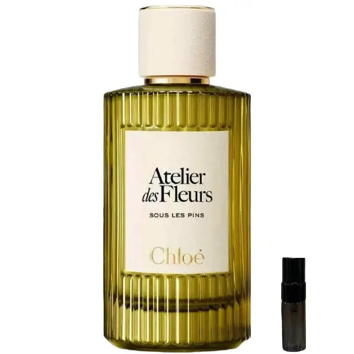 Chloé Sous les Pins - Eau de Parfum - LuxScents