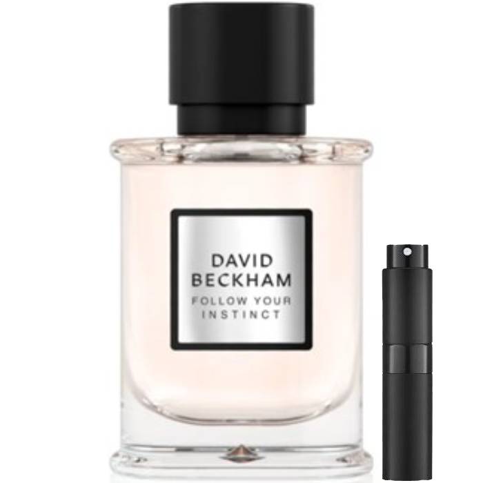 David Beckham Follow Your Instinct - Eau de Parfum - LuxScents.nl