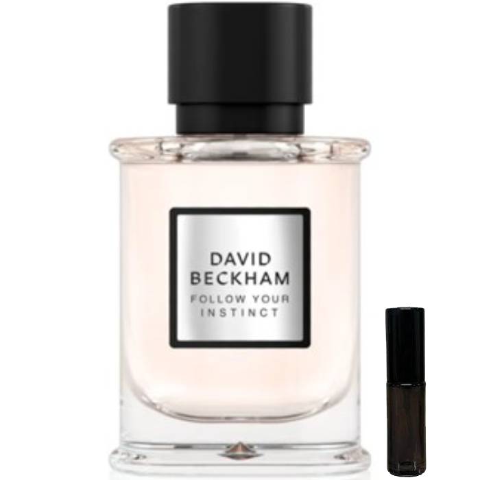David Beckham Follow Your Instinct - Eau de Parfum - LuxScents.nl