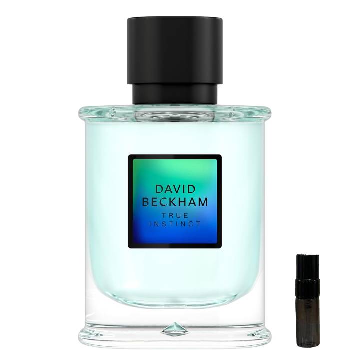 David Beckham True Instinct - Eau de Parfum - LuxScents.nl