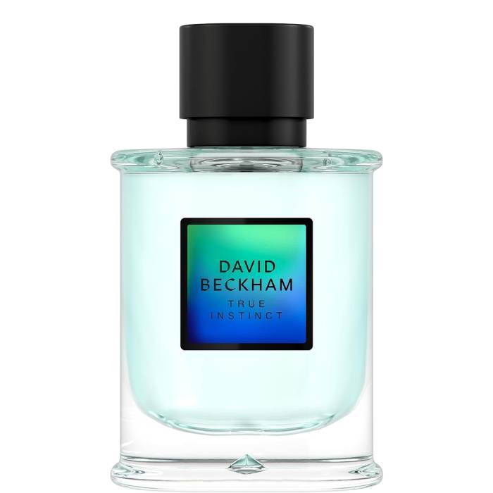David Beckham True Instinct - Eau de Parfum - LuxScents.nl