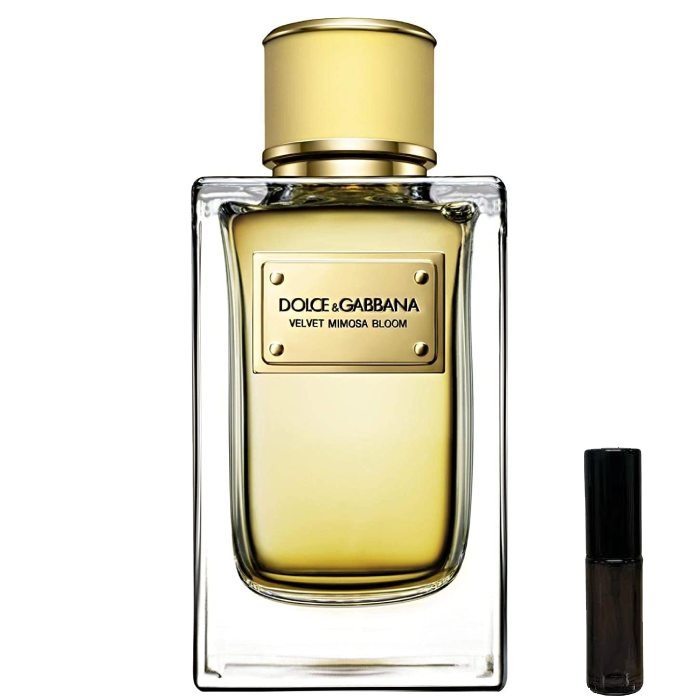 Dolce & Gabanna Velvet Mimosa Bloom - Eau de Parfum - LuxScents.nl
