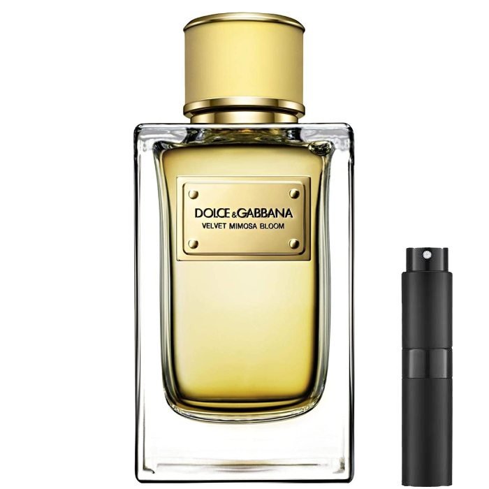 Dolce & Gabanna Velvet Mimosa Bloom - Eau de Parfum - LuxScents.nl