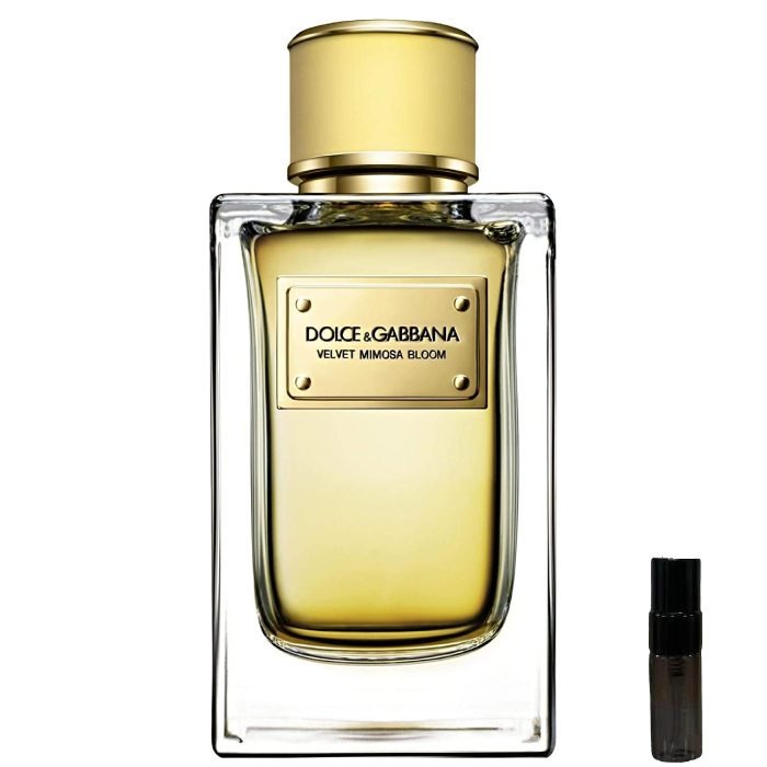 Dolce & Gabanna Velvet Mimosa Bloom - Eau de Parfum - LuxScents.nl