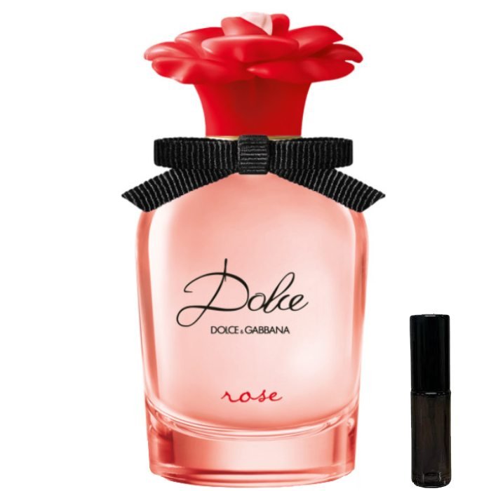 Dolce & Gabbana Rose - Eau de Toilette - LuxScents.nl