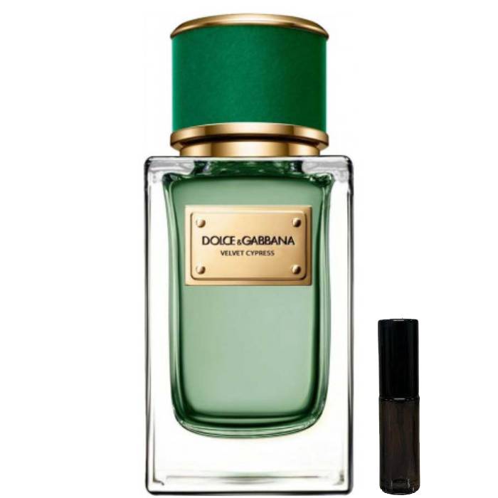 Dolce & Gabbana Velvet Cypress - Eau de Parfum - LuxScents.nl