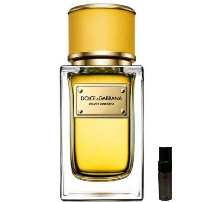 Dolce & Gabbana Velvet Ginestra - Eau de Parfum - LuxScents.nl