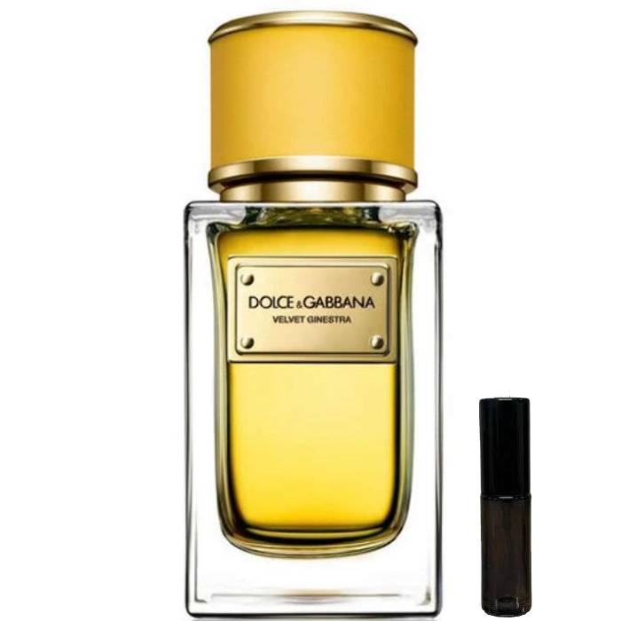 Dolce & Gabbana Velvet Ginestra - Eau de Parfum - LuxScents.nl