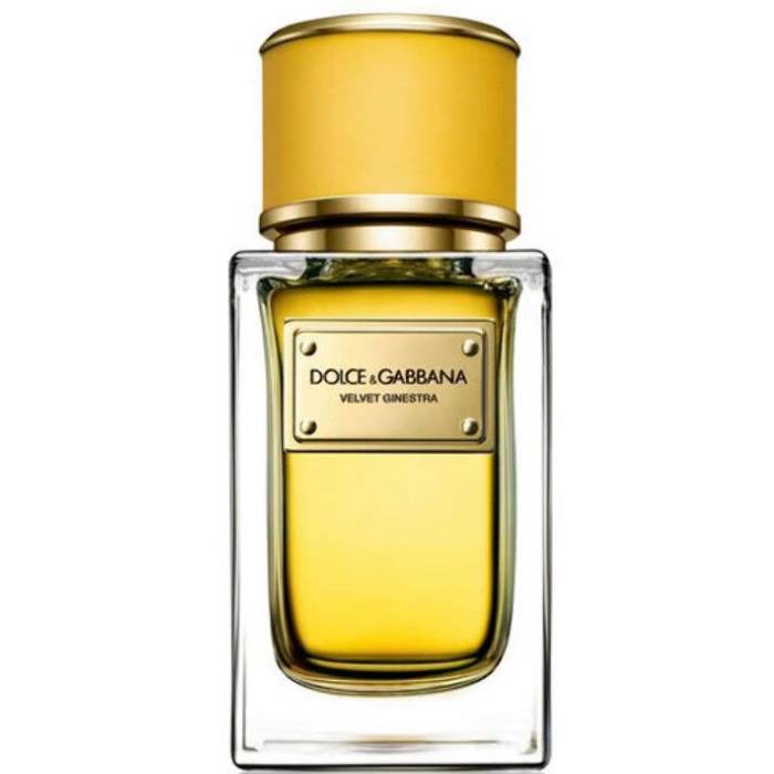 Dolce & Gabbana Velvet Ginestra - Eau de Parfum - LuxScents.nl