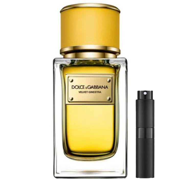 Dolce & Gabbana Velvet Ginestra - Eau de Parfum - LuxScents.nl