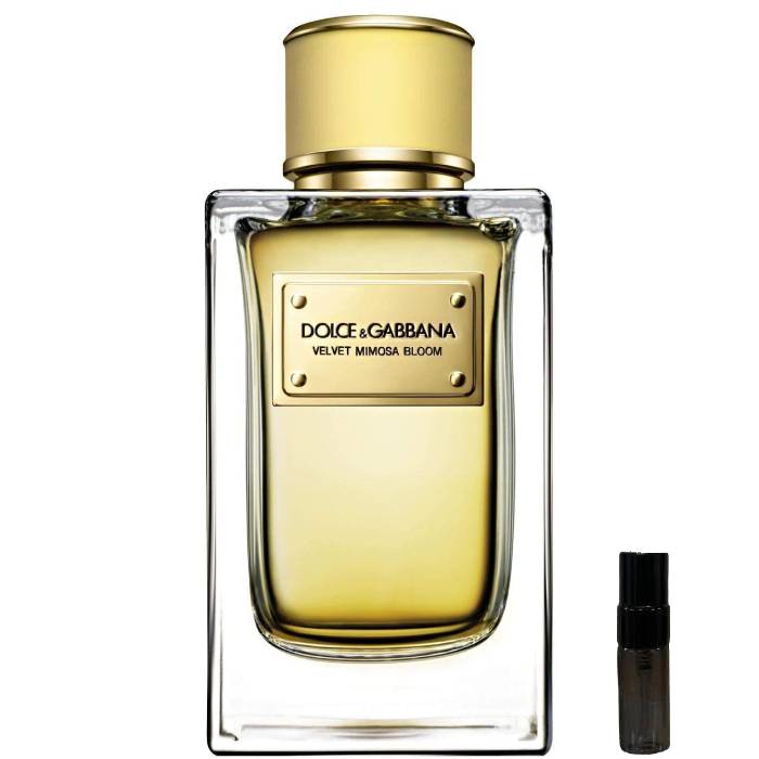 Dolce & Gabbana Velvet Mimosa Bloom - Eau de Parfum - LuxScents.nl