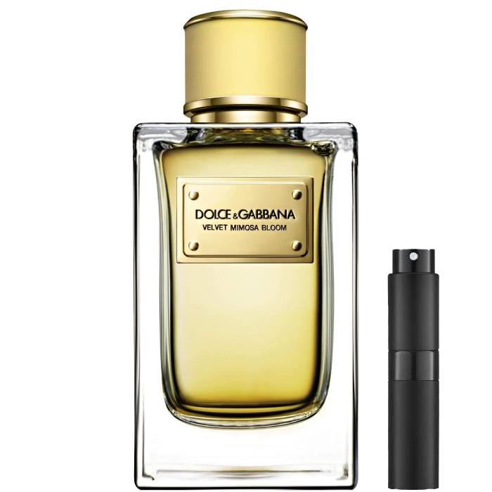 Dolce & Gabbana Velvet Mimosa Bloom - Eau de Parfum - LuxScents.nl
