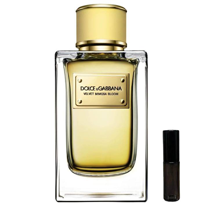 Dolce & Gabbana Velvet Mimosa Bloom - Eau de Parfum - LuxScents.nl