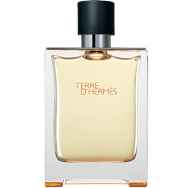 Hermés Terre d'Hermés - Eau de Toilette - LuxScents.nl