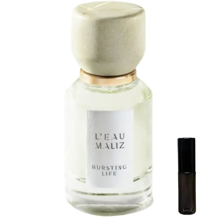 L'Eau Maliz Bursting Life - Eau de Parfum - LuxScents.nl
