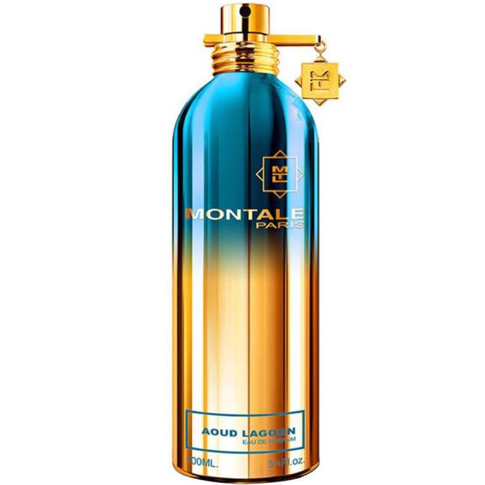 Montale Paris Aoud Lagoon - Eau de Parfum - LuxScents.nl