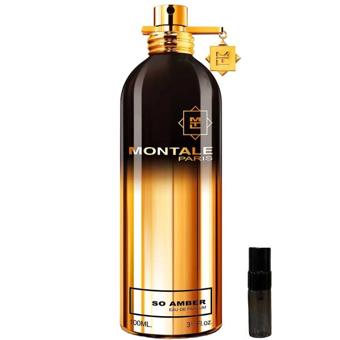Montale Paris So Amber - Eau de Parfum - LuxScents.nl
