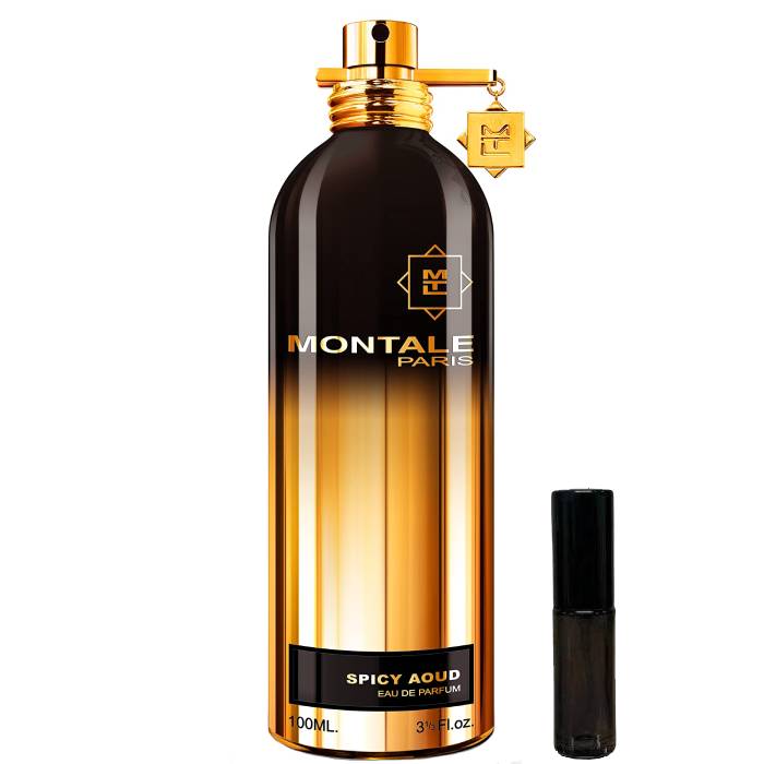 Montale Paris Spicy Aoud - Eau de Parfum - LuxScents.nl